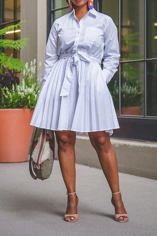 Chic Shirt & Pleated Lace Up Skirt Set